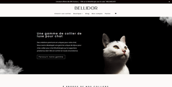 Référence E-commerce- Bellidor site WooCommerce