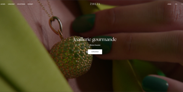 Design sans titre - 2026-03-24T123834.103 Référence E-commerce-VDC site WooCommerce